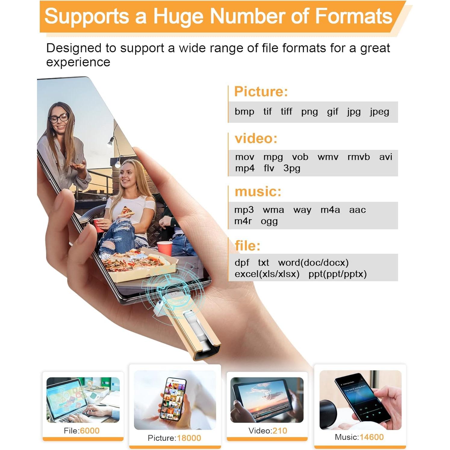 Sunany USB Flash Drive 256GB Dorado Alta Velocidad