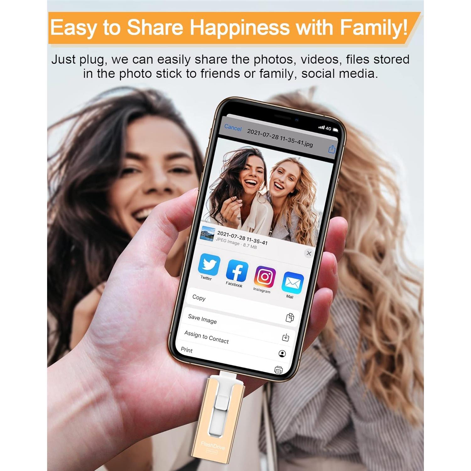 Sunany USB Flash Drive 256GB Dorado Alta Velocidad