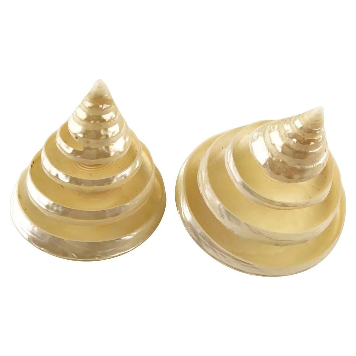 Conchas Turbo Arapica Pulida Blanca MMvolesy - 2 Piezas 5-6.35 cm