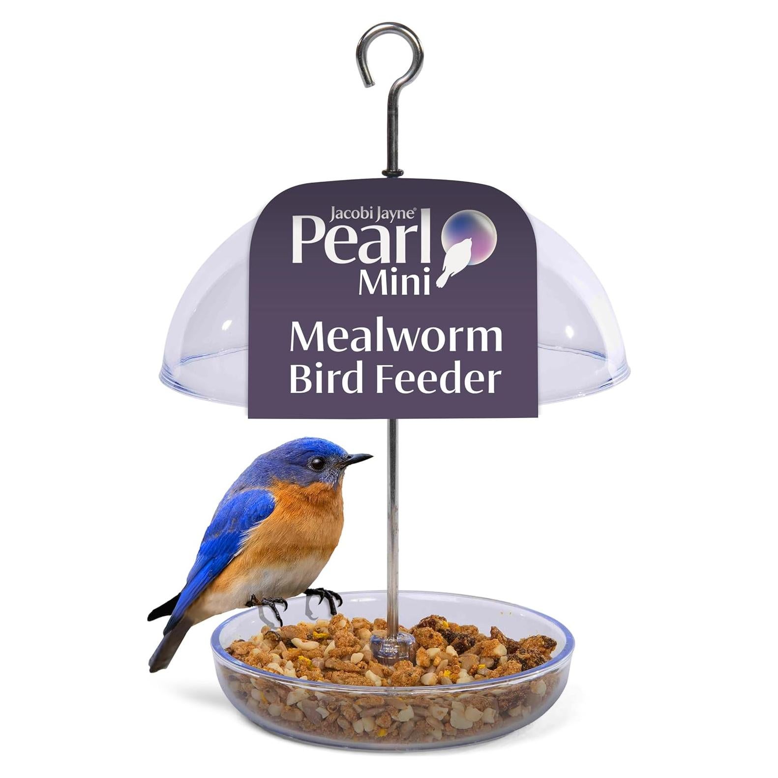 Comedero para Bluebird Jacobi Jayne Pearl Mini - Gusanos de la Harina