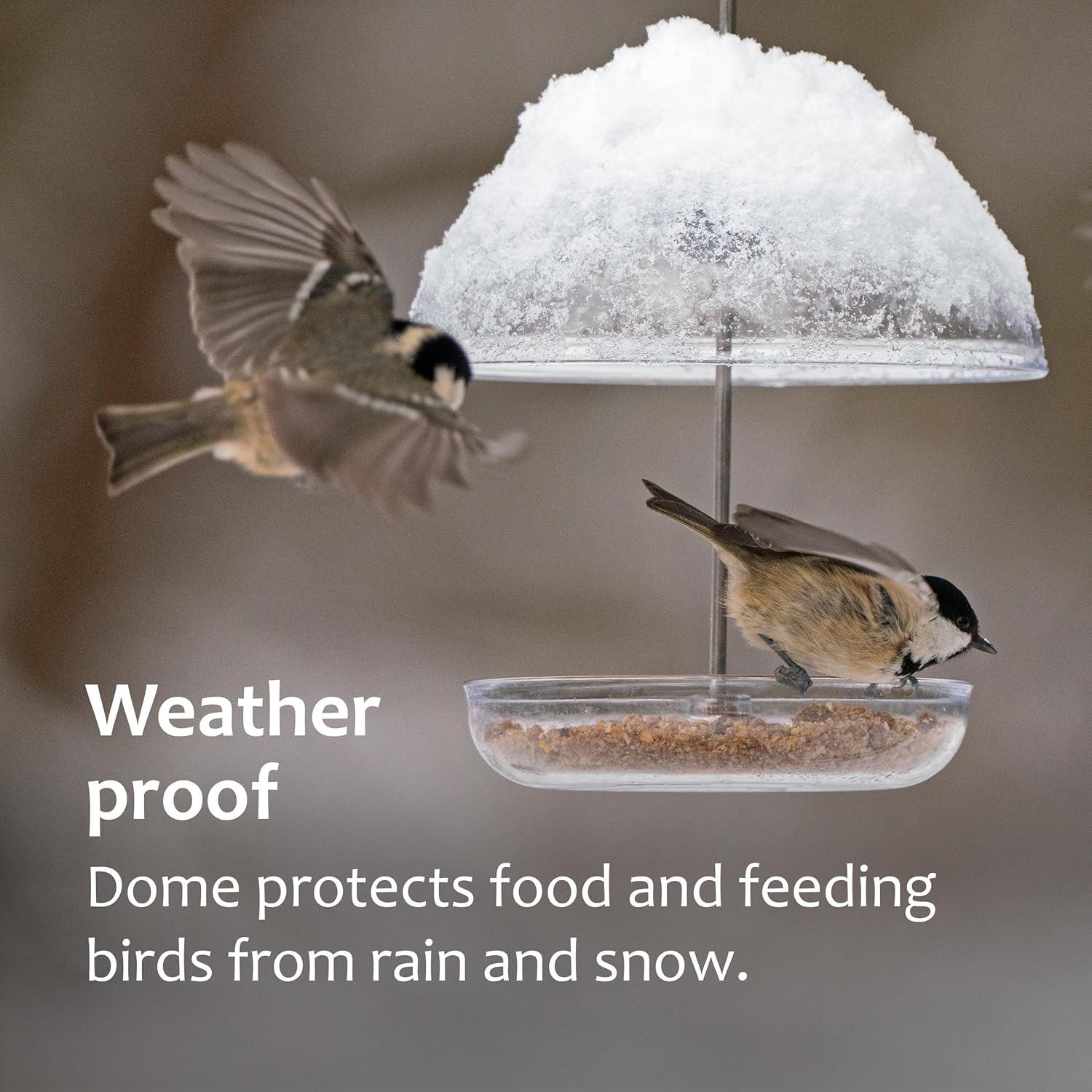 Comedero para Bluebird Jacobi Jayne Pearl Mini - Gusanos de la Harina