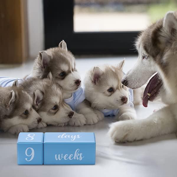 Bloques de Hitos Mensuales para Bebés Parkway Home Azul