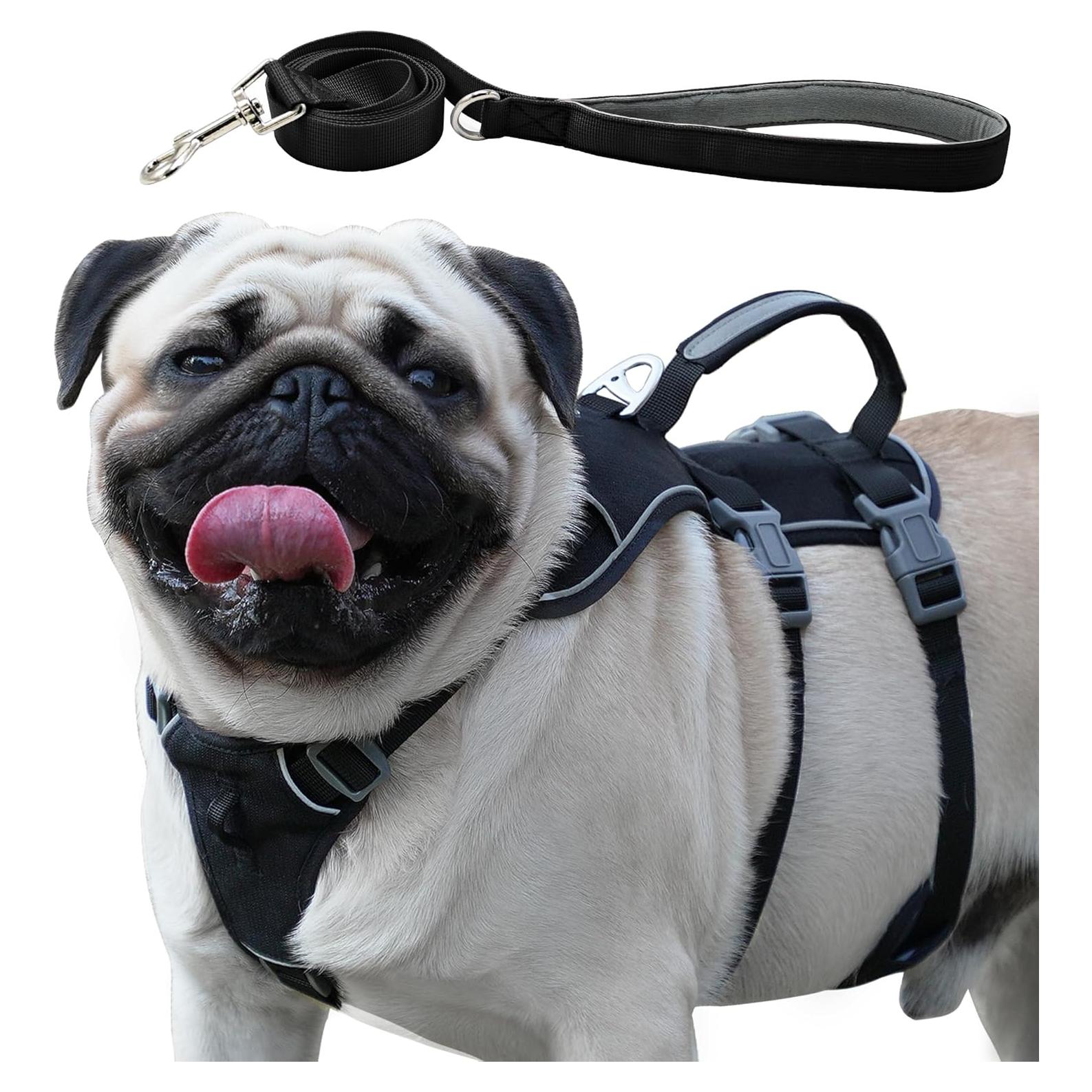 Arnés y Correa para Perros Wuffley XS Negro, Reflectante