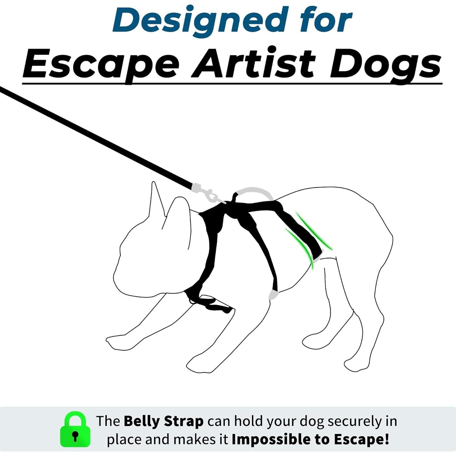 Arnés y Correa para Perros Wuffley XS Negro, Reflectante