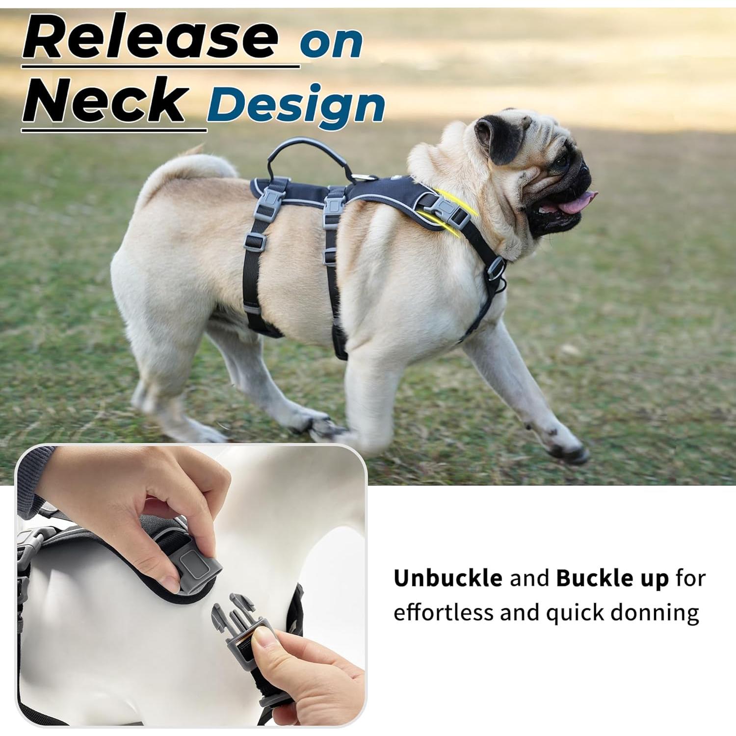 Arnés y Correa para Perros Wuffley XS Negro, Reflectante