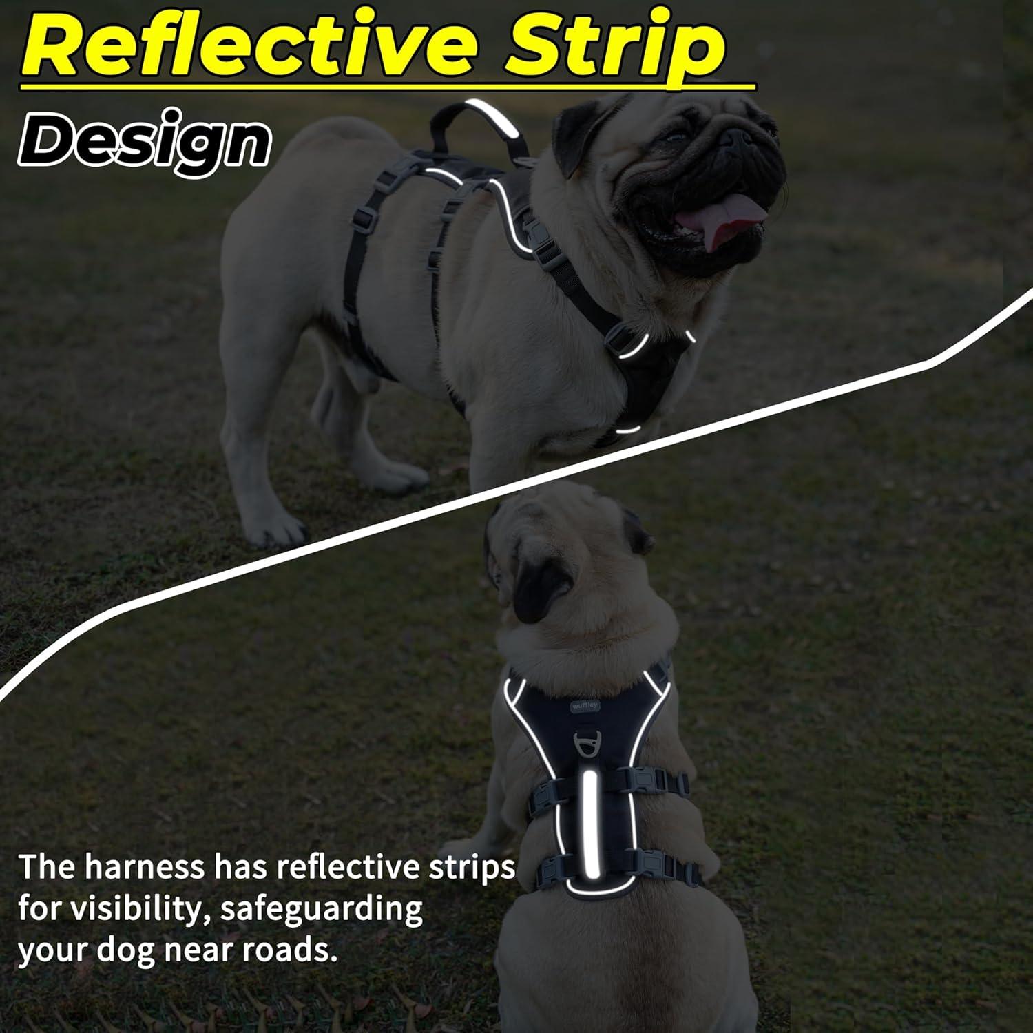 Arnés y Correa para Perros Wuffley XS Negro, Reflectante