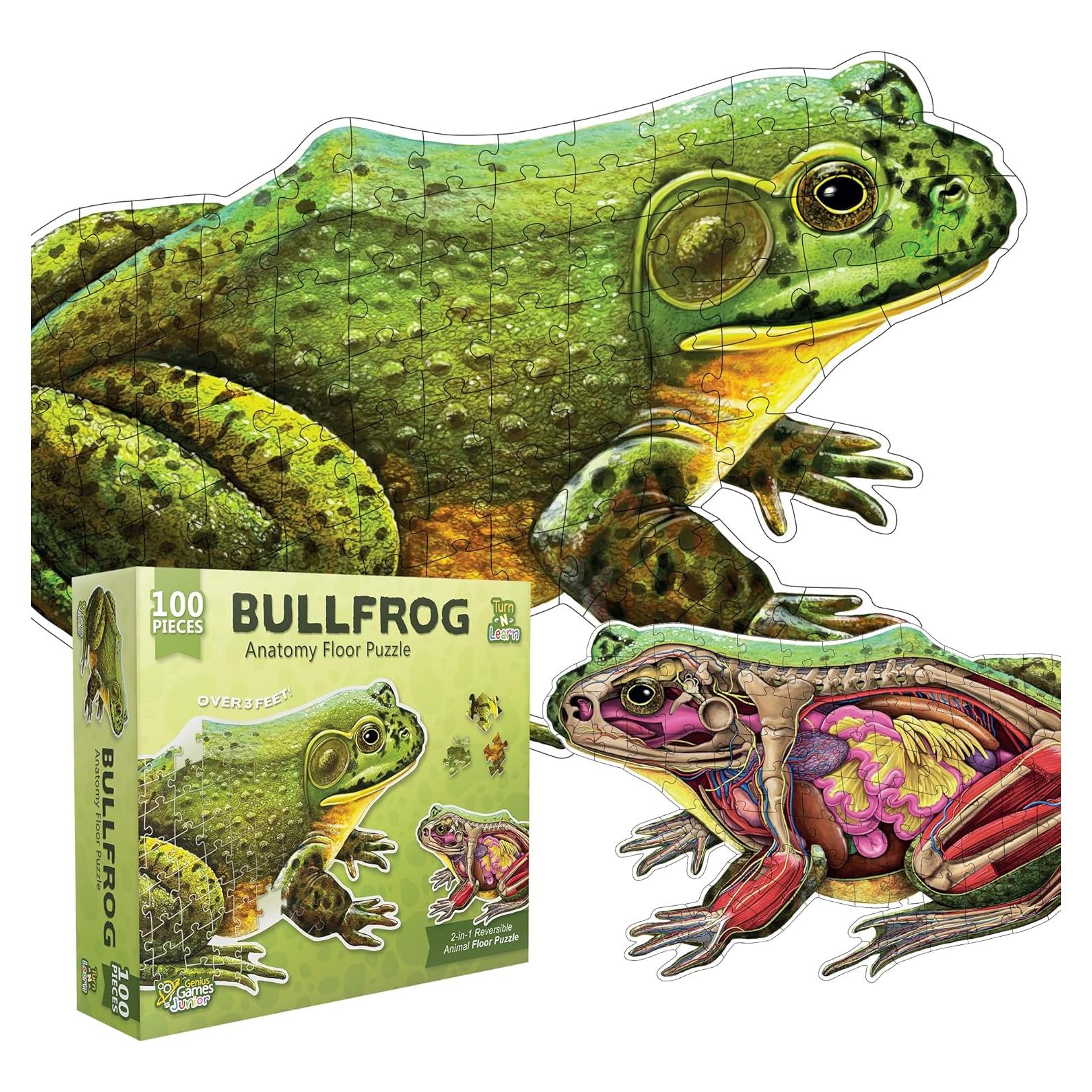 Rompecabezas de Anatomía Animal Genius Games Rana Toro 100 Piezas