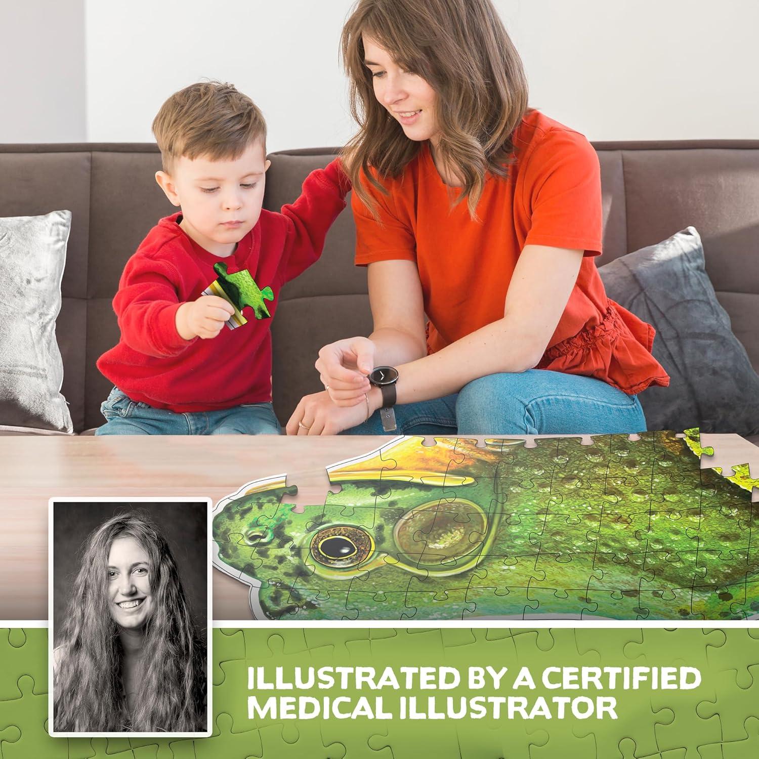 Rompecabezas de Anatomía Animal Genius Games Rana Toro 100 Piezas