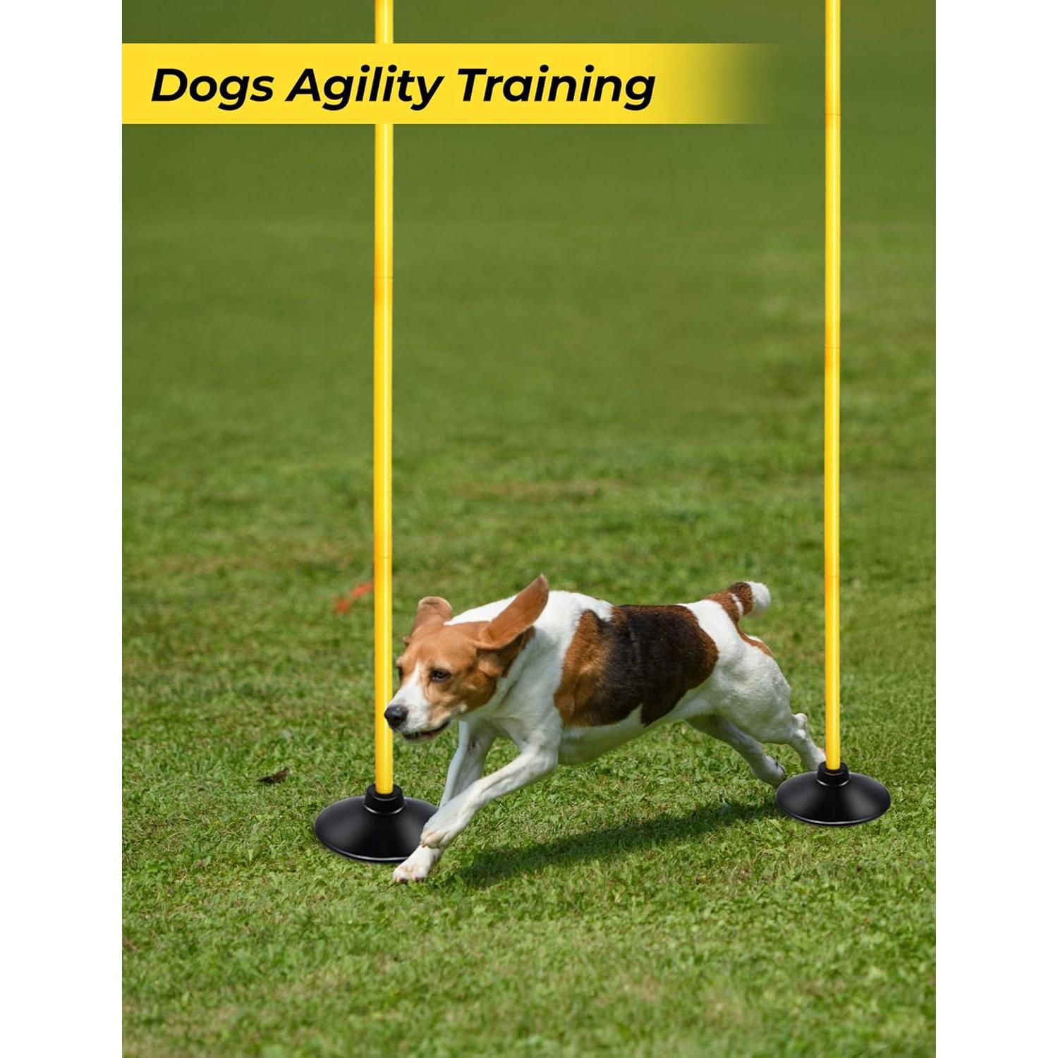 Postes de Agilidad SEAOTTER 1.83 m - Paquete de 4 con Base de Goma