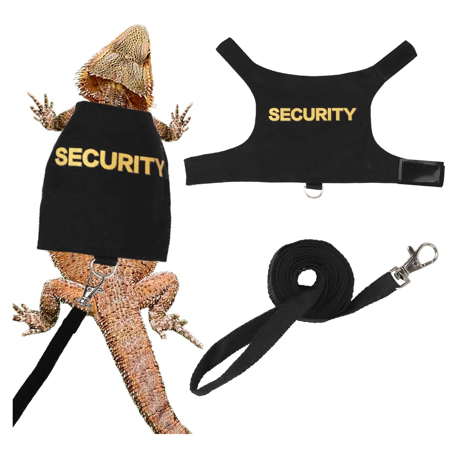 Conjunto Arnés y Correa Ajustable ADOGGYGO para Dragón Barbudo