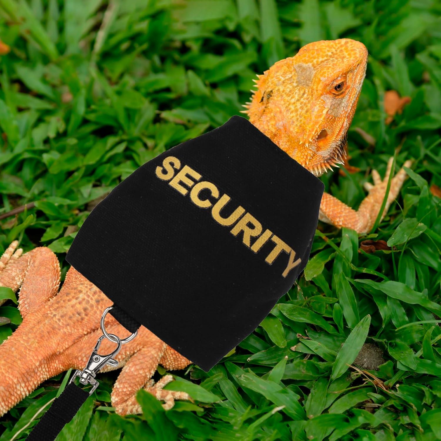 Conjunto Arnés y Correa Ajustable ADOGGYGO para Dragón Barbudo