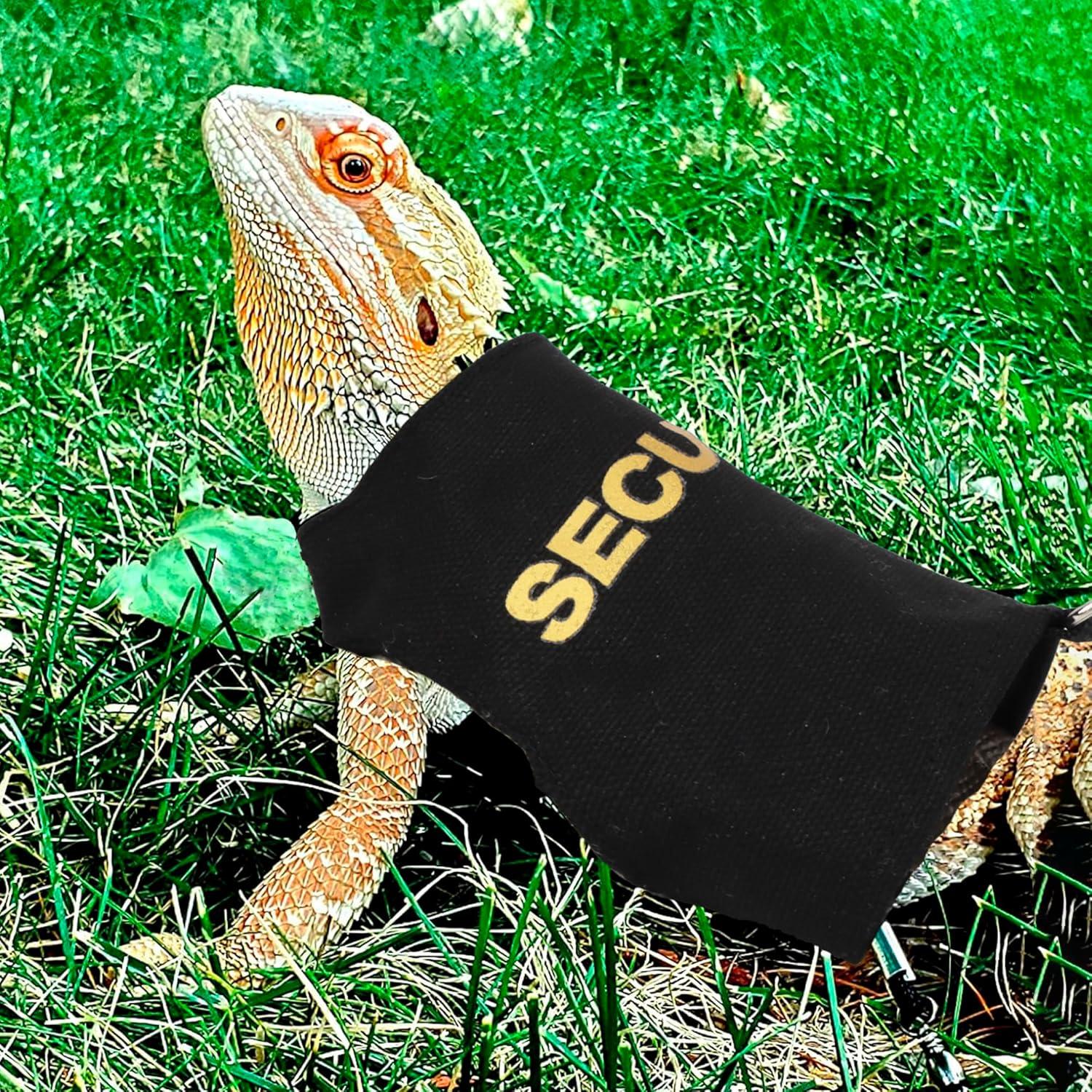 Conjunto Arnés y Correa Ajustable ADOGGYGO para Dragón Barbudo