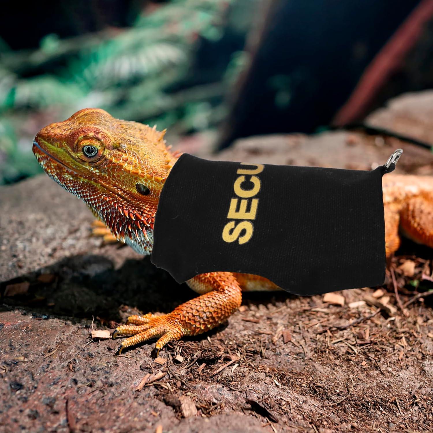 Conjunto Arnés y Correa Ajustable ADOGGYGO para Dragón Barbudo