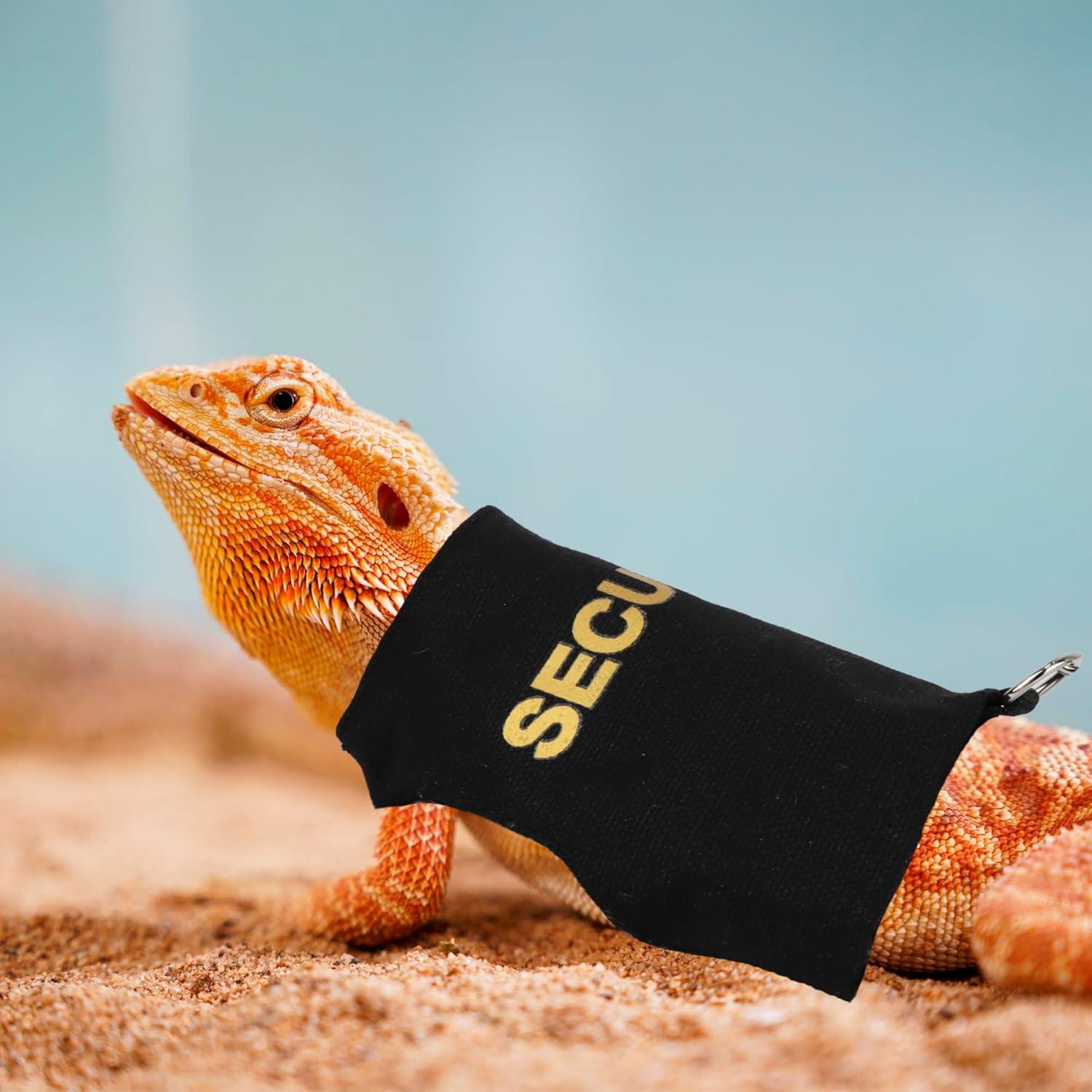 Conjunto Arnés y Correa Ajustable ADOGGYGO para Dragón Barbudo