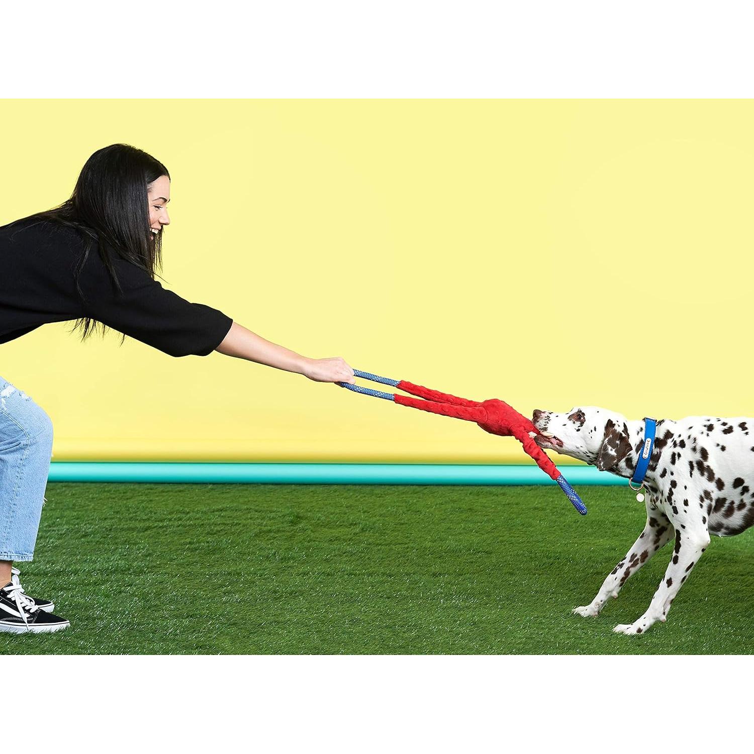 ZippyPaws Monkey RopeTugz Azul - Juguete Duradero para Perros