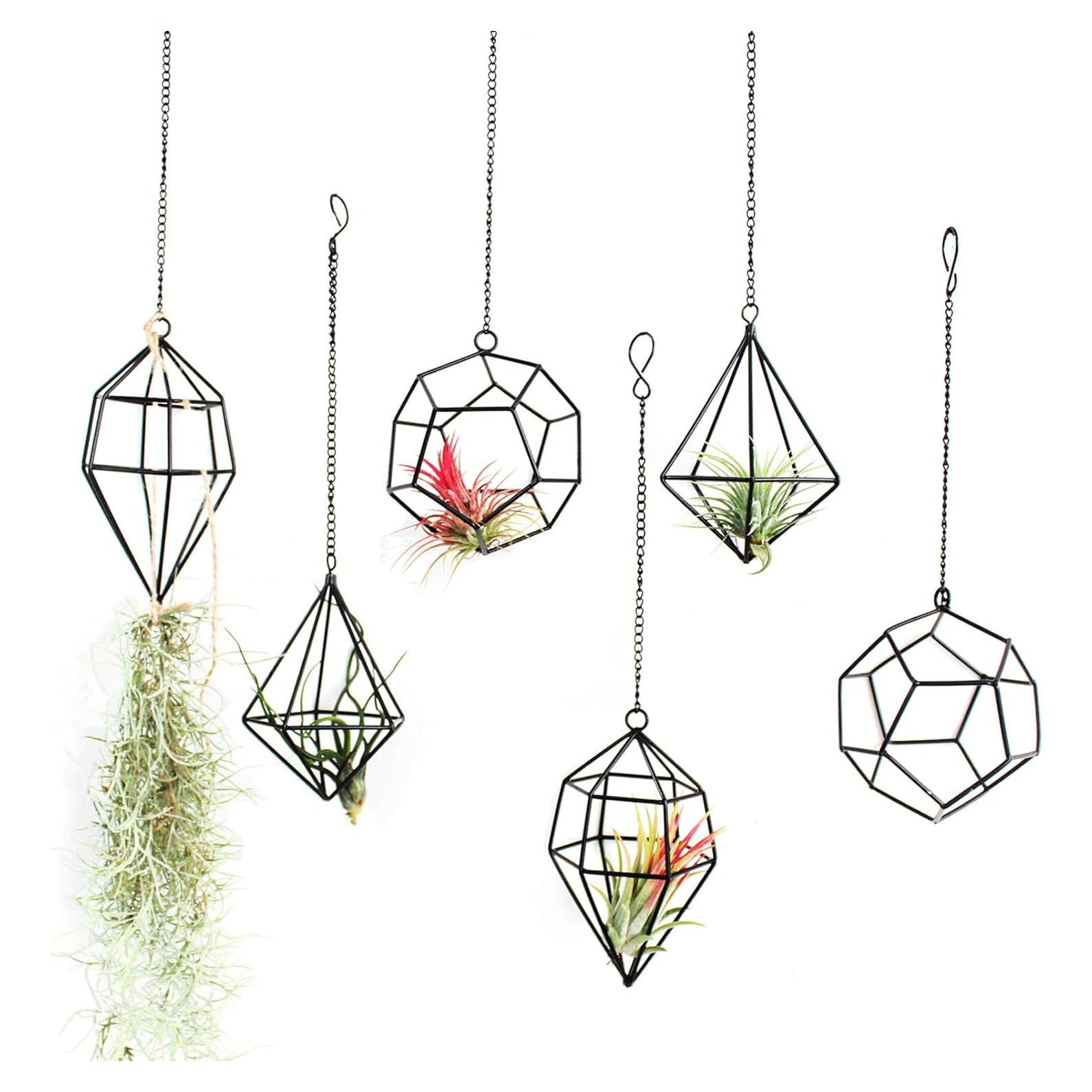 Soporte Colgante para Plantas de Aire 6PCS Metal Negro libproqia