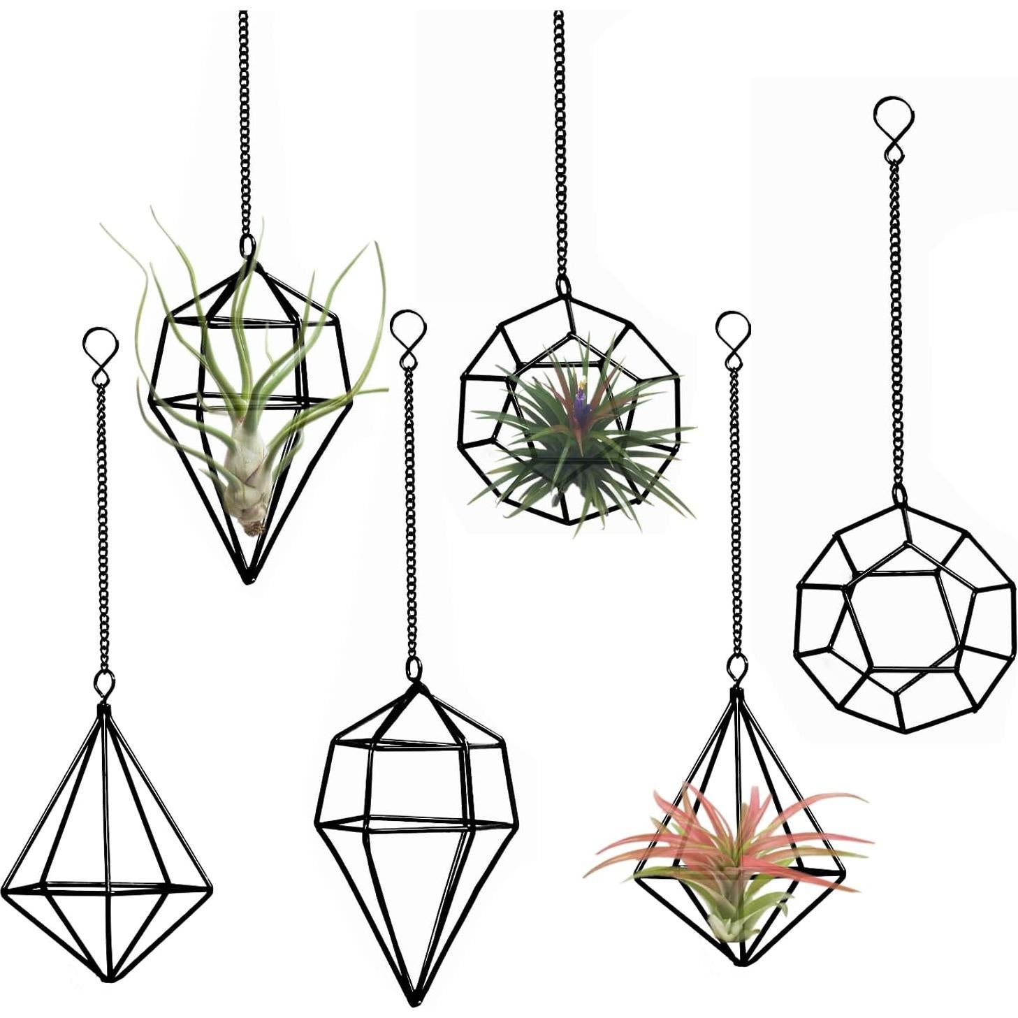 Soporte Colgante para Plantas de Aire 6PCS Metal Negro libproqia