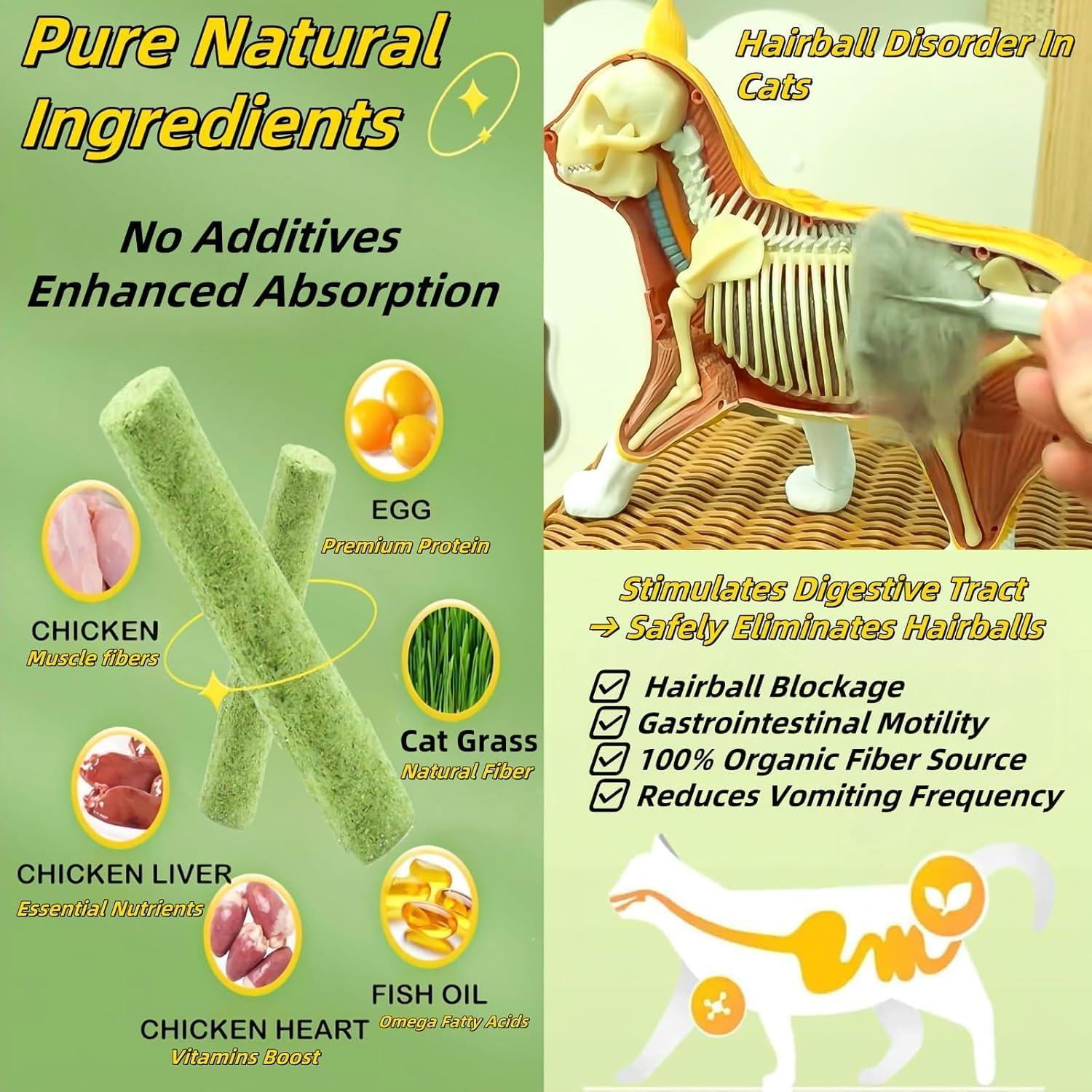 6 Palitos de Hierba Natural para Gatos - Snack Masticable NSWXZDS