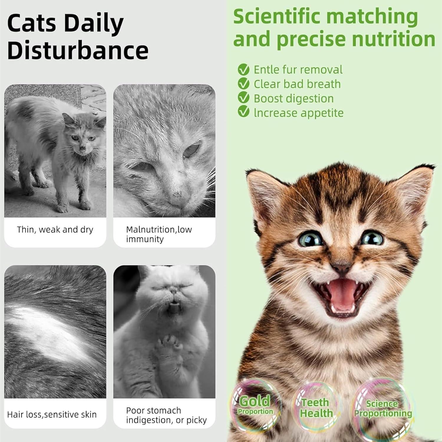 6 Palitos de Hierba Natural para Gatos - Snack Masticable NSWXZDS