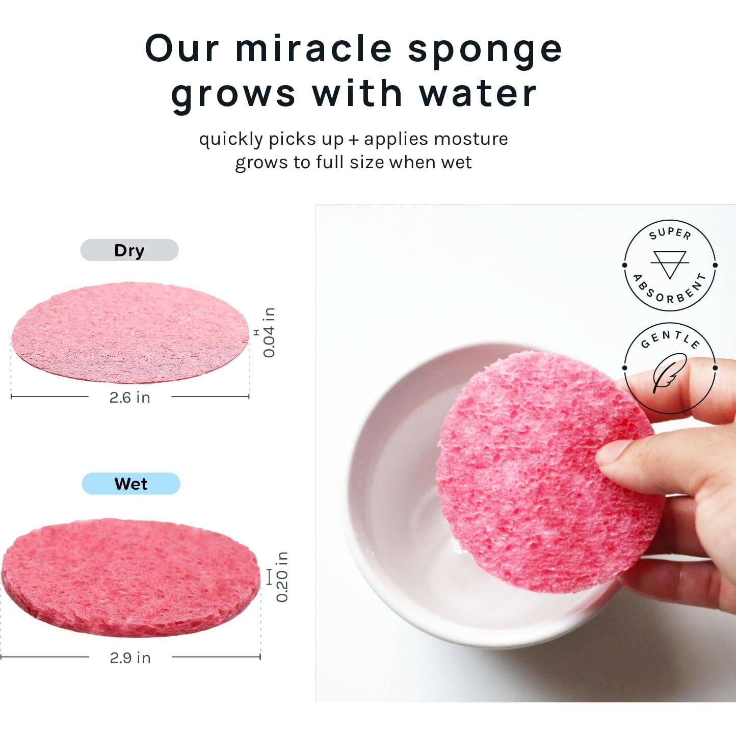 Esponjas Faciales Comprimidas AOA - 50 Cuentas Rosa 100% Naturales