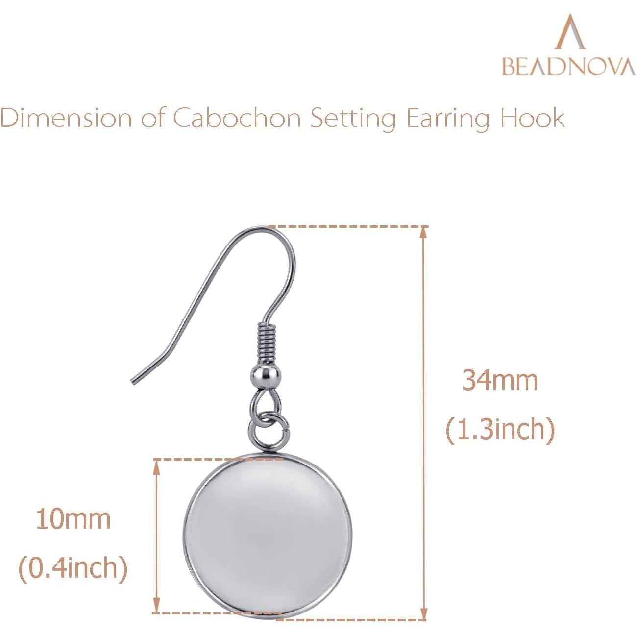 Kit de Pendientes BEADNOVA 30pcs Ganchos 10mm Acero Inoxidable