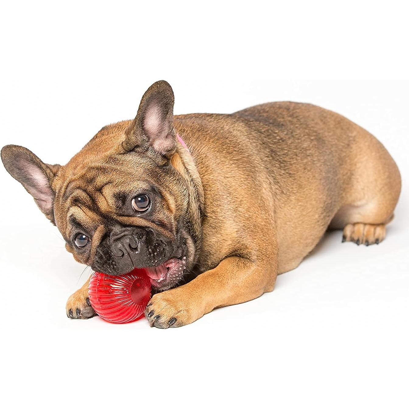 Blinky Babble Ball Pet Qwerks - Juguete Interactivo Mediano