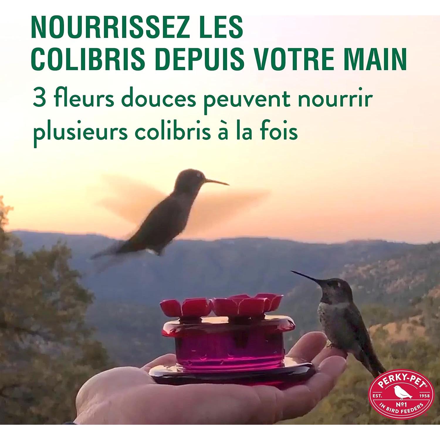 Alimentador de Colibríes de Mano y Mesa Perky-Pet 9100 - 59 ml