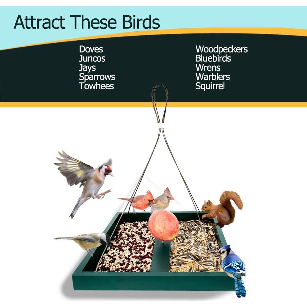 Comedero Colgante para Aves Solution4Patio 4.54 kg Verde