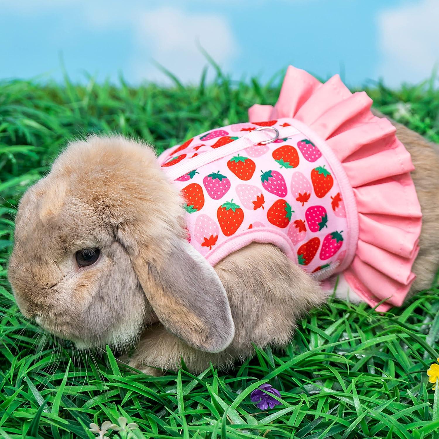 Arnés y Correa para Conejos ALUZAEMO Rosa Malla Transpirable