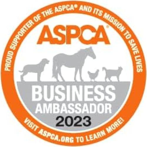 Socket de Tuerca de Llantas ARES 19MM 1/2" Sin Rayones