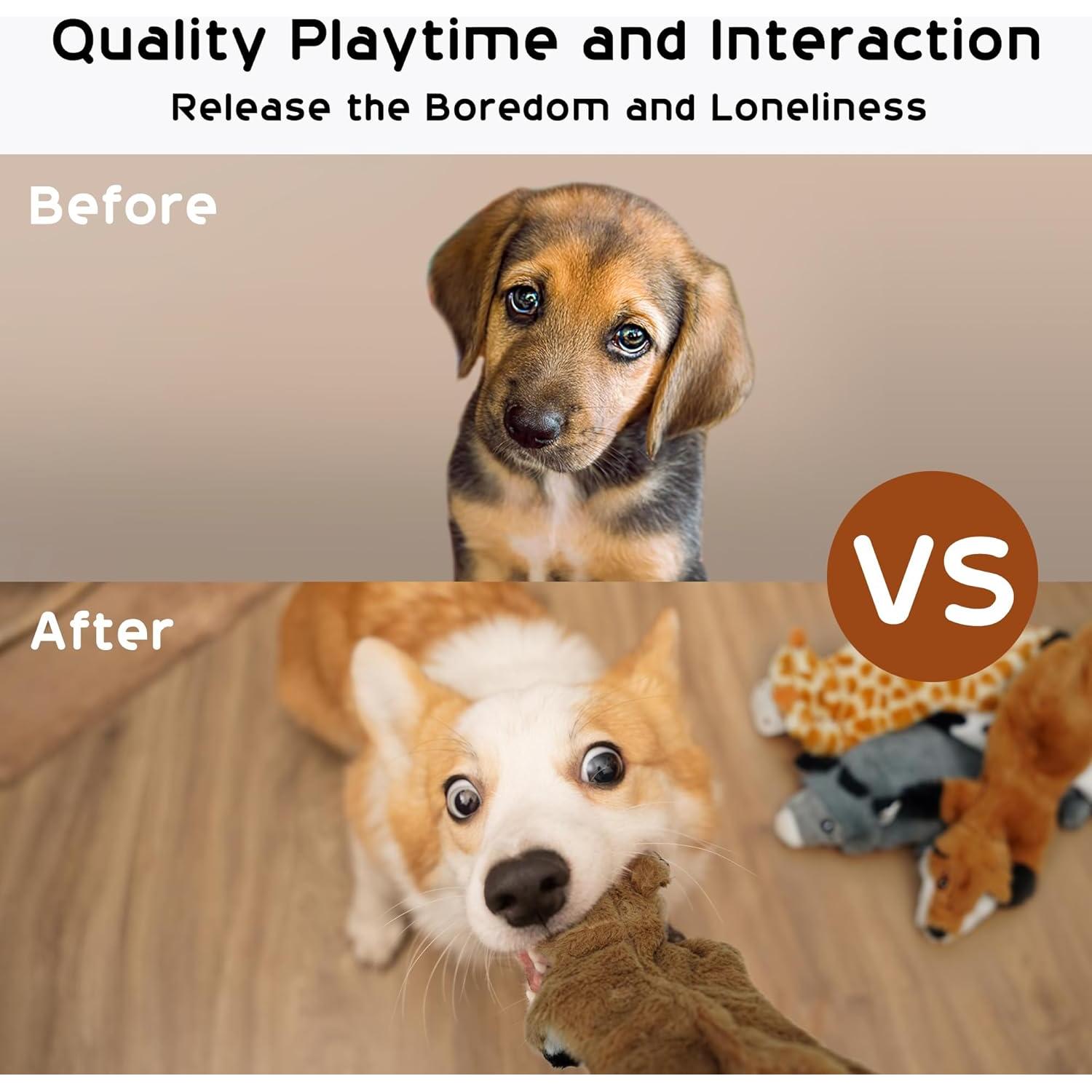 Juguetes Squeaky para Perros Nocciola - 5 Pcs Sin Relleno