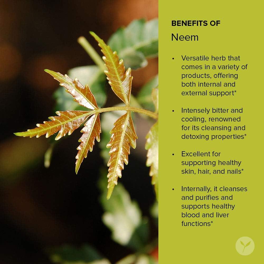 Polvo de Neem Orgánico Banyan Botanicals 226.8 g - Purificante