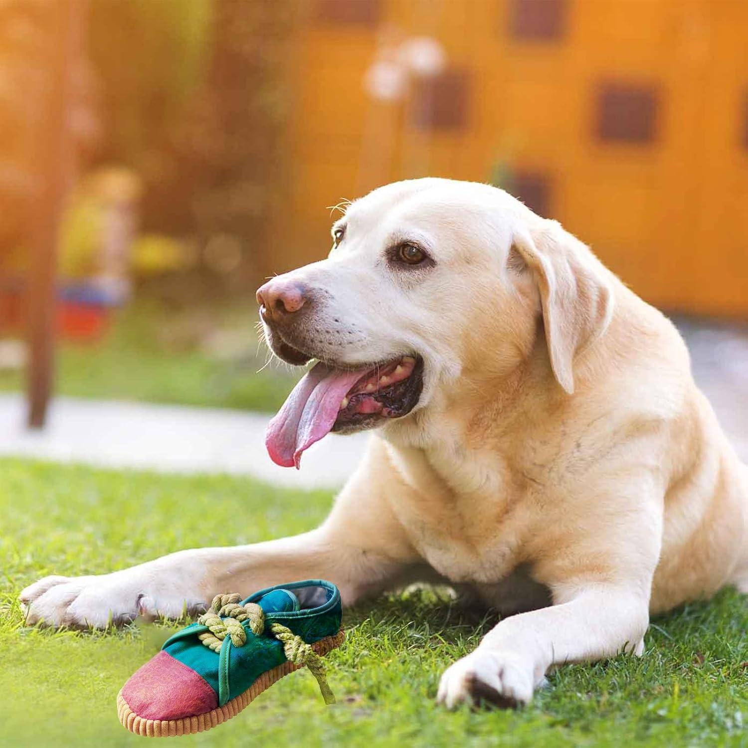 Juguete para Masticar Perros DOGOWU Zapato Chirriante 25cm