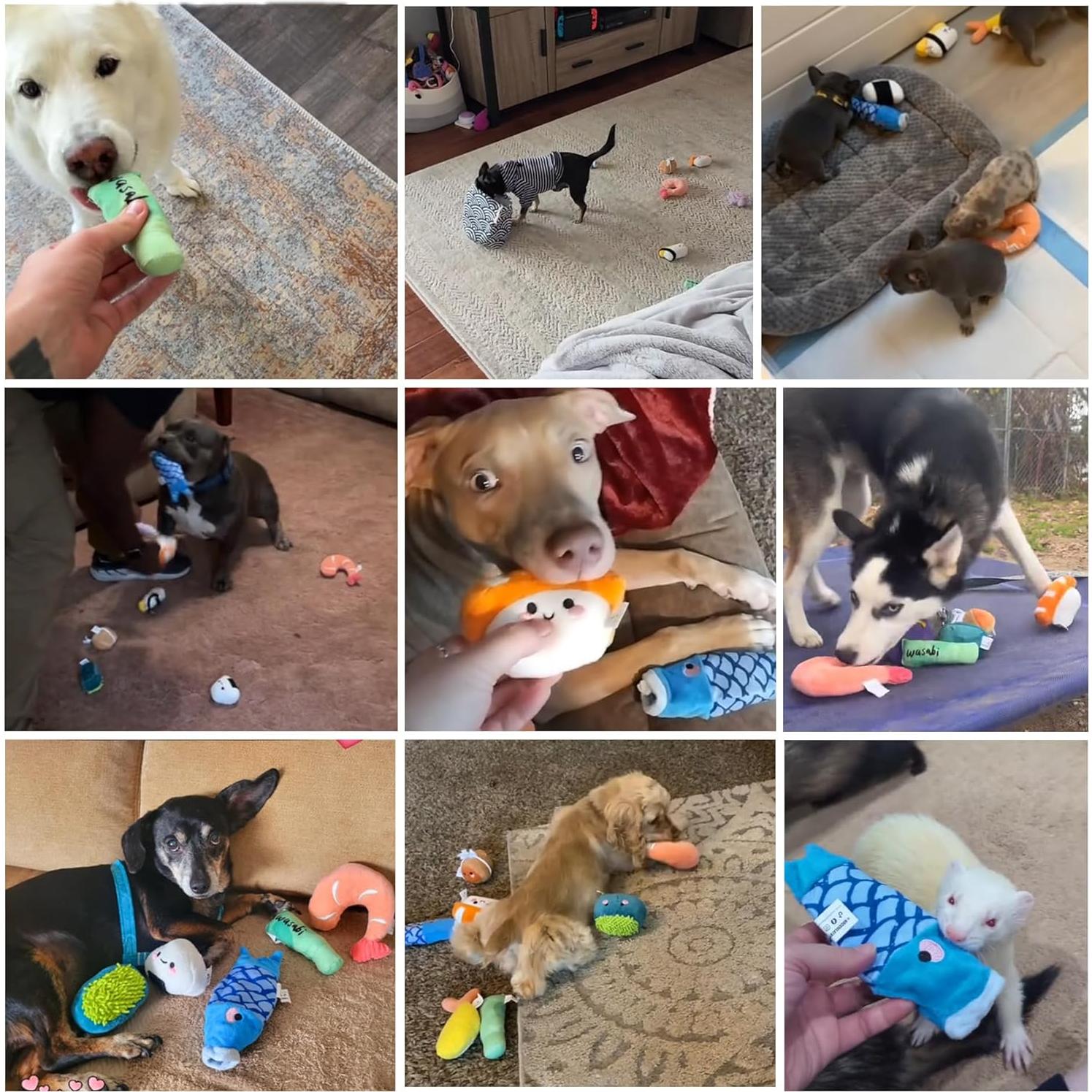 Set de Juguetes de Sushi para Perros Nocciola - 10 Piezas