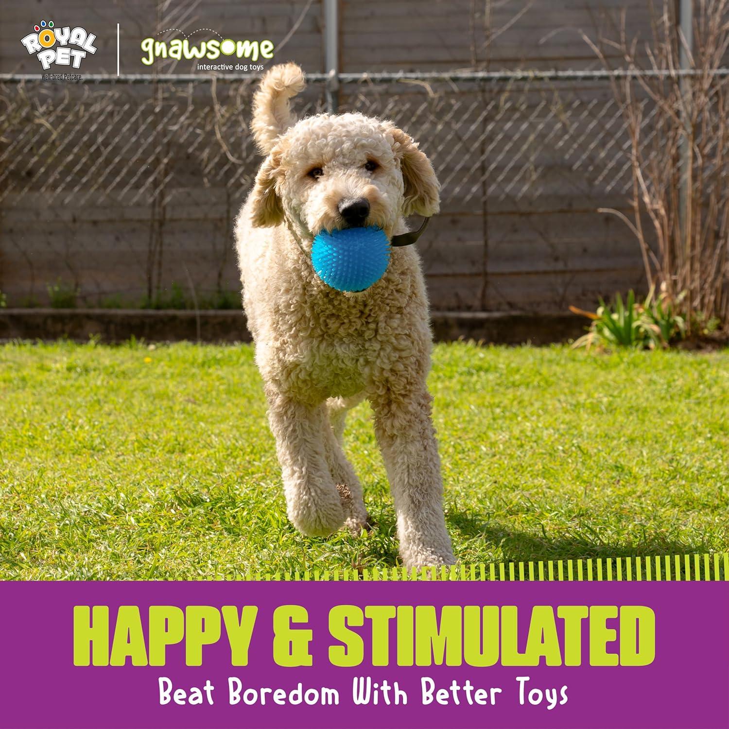 Juguete para Perros Gnawsome 11.4 cm con Squeaker - Salud Dental