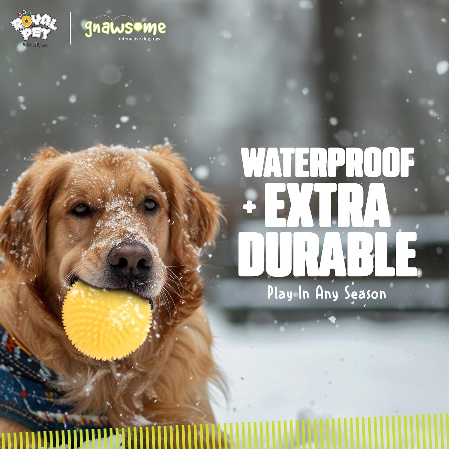 Juguete para Perros Gnawsome 11.4 cm con Squeaker - Salud Dental