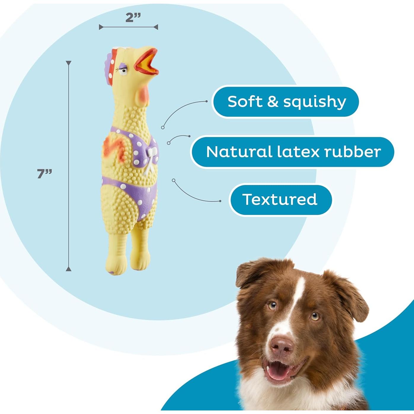 Juguete de Perro Outward Hound Squawkers Henrietta Pequeño