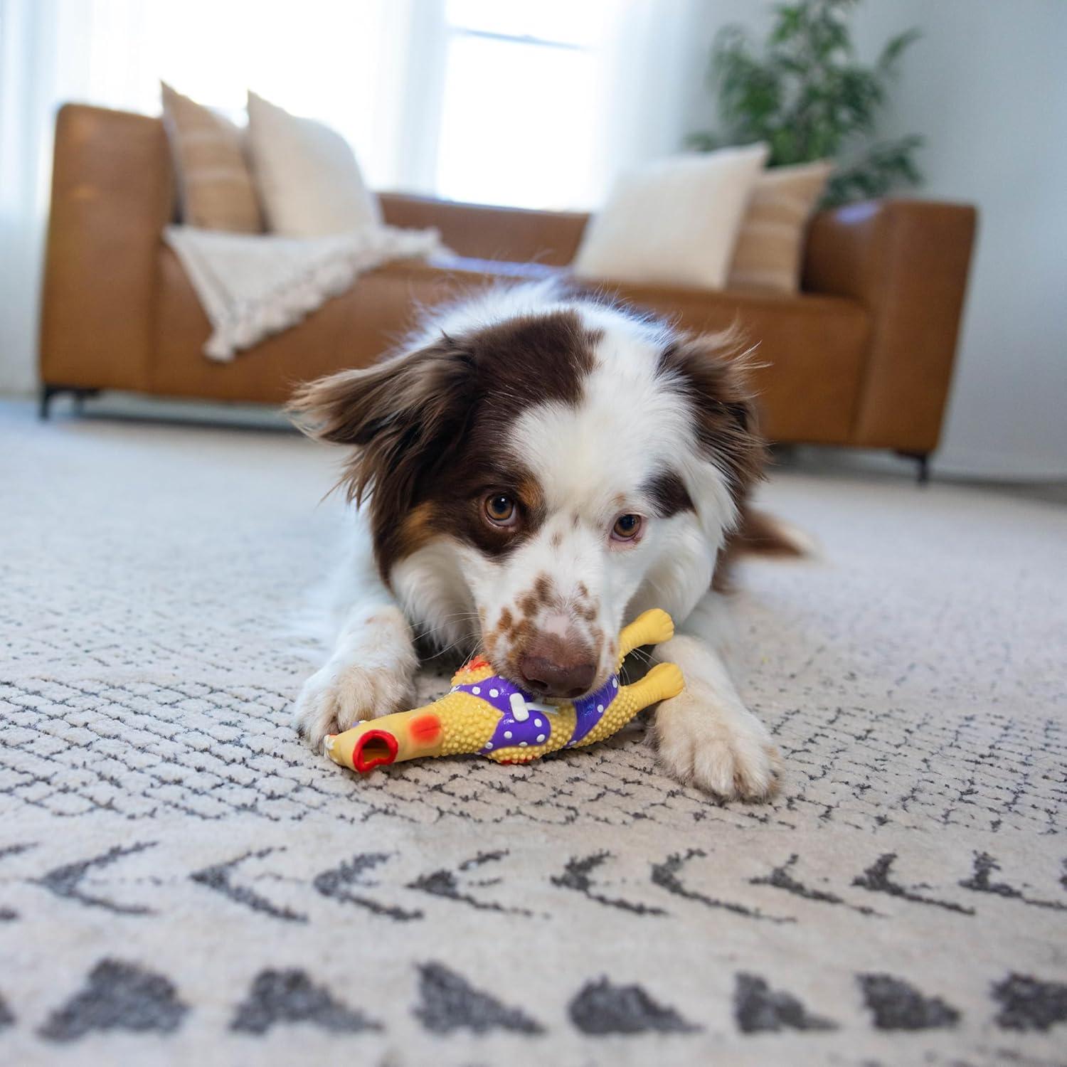 Juguete de Perro Outward Hound Squawkers Henrietta Pequeño