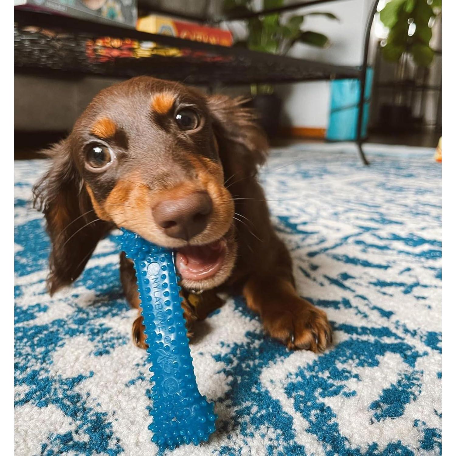 Hueso Nylabone Flexi Chew para Perros X-Pequeño 3 Unidades