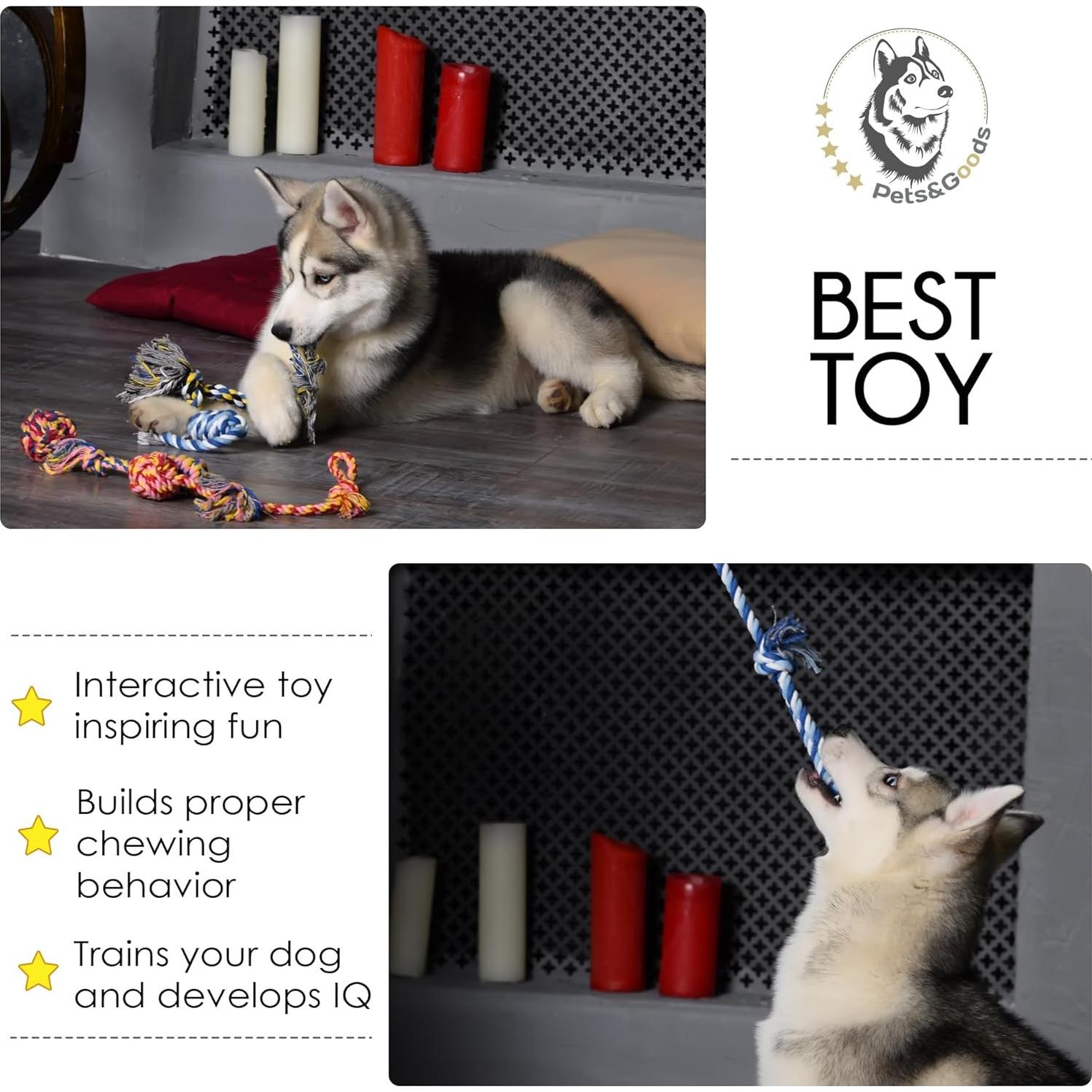 Juguetes de Masticar para Perros Pets&Goods - Paquete de 5