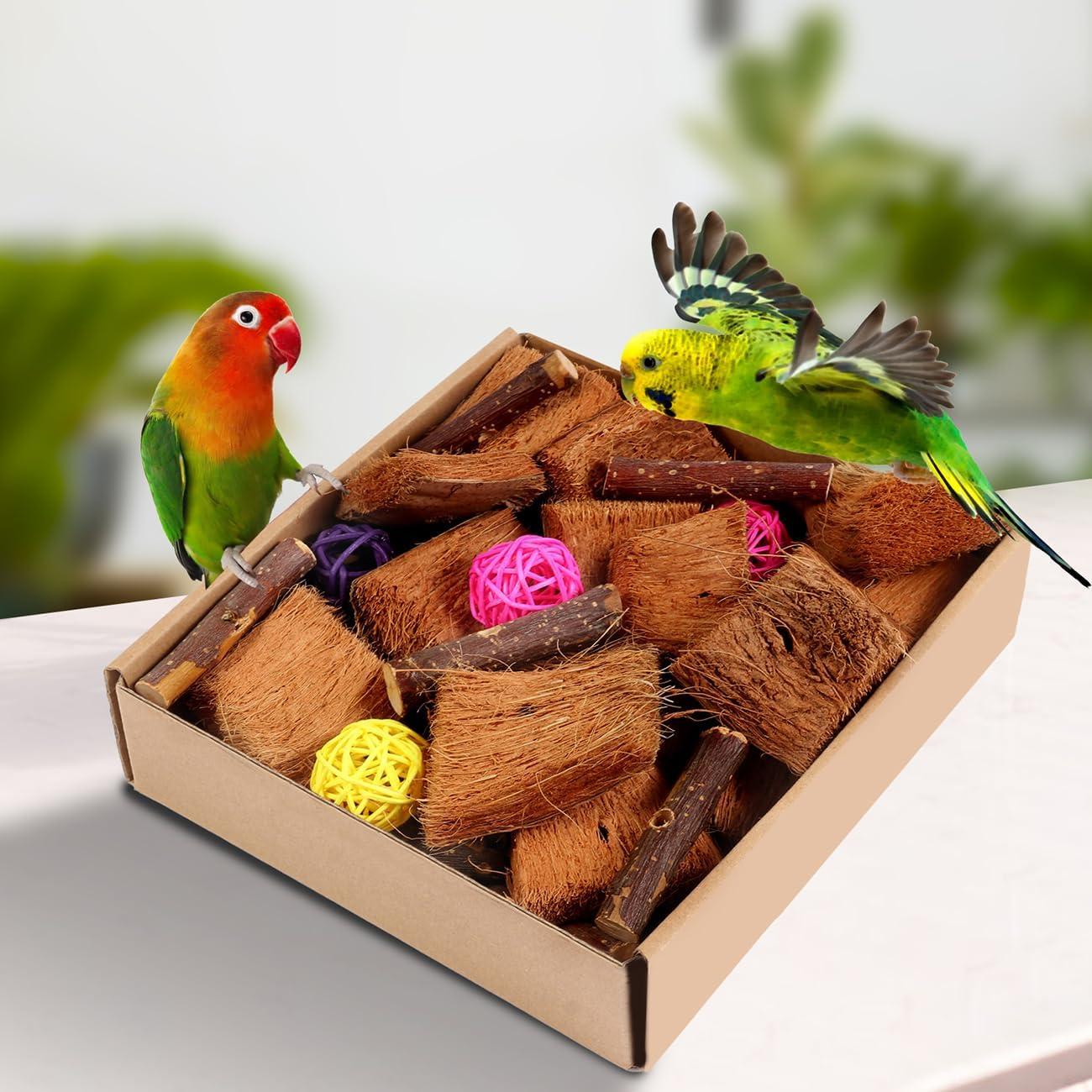 Juguete para Aves Kyouki DIY Natural - Cáscara de Coco 19.8x10.9cm