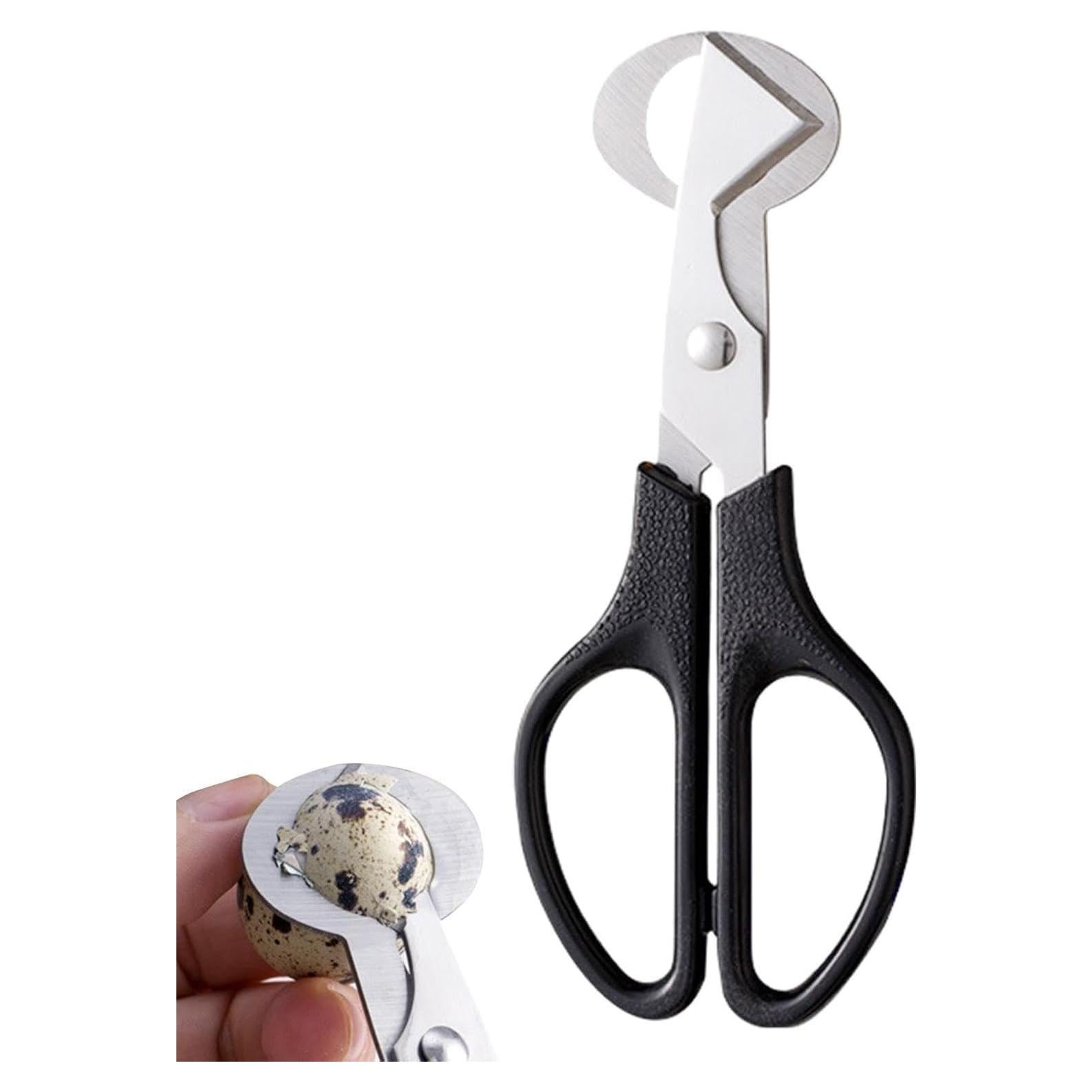 Tijeras Cortadoras de Huevos de Codorniz Pxiryanlow - Acero Inoxidable