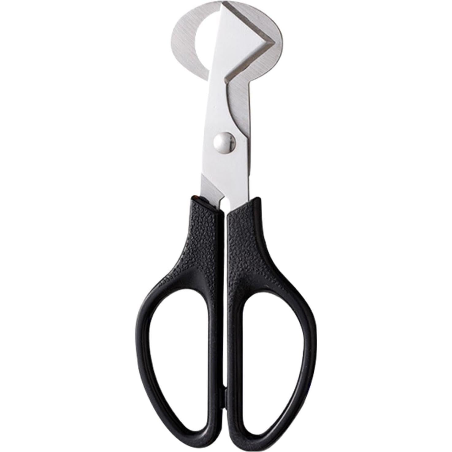 Tijeras Cortadoras de Huevos de Codorniz Pxiryanlow - Acero Inoxidable