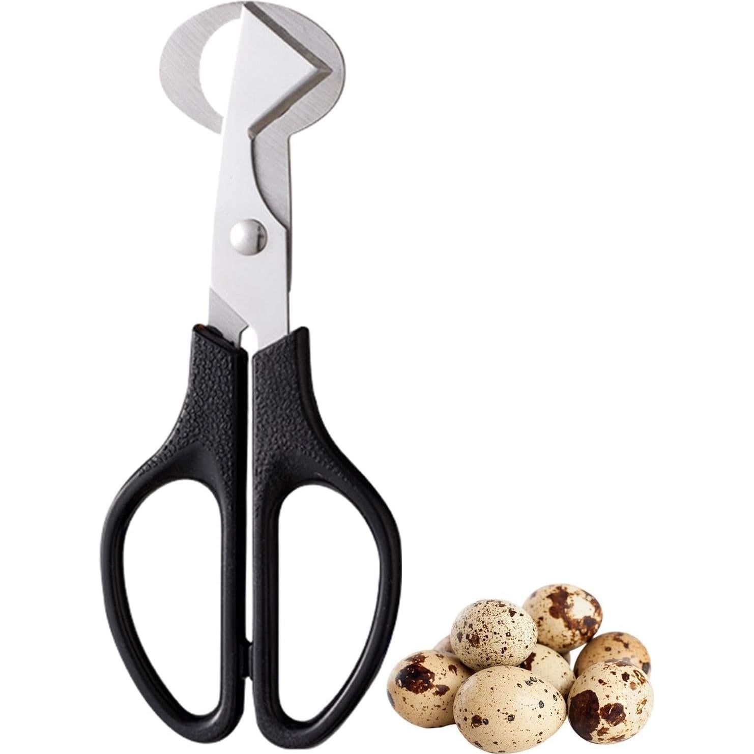 Tijeras Cortadoras de Huevos de Codorniz Pxiryanlow - Acero Inoxidable