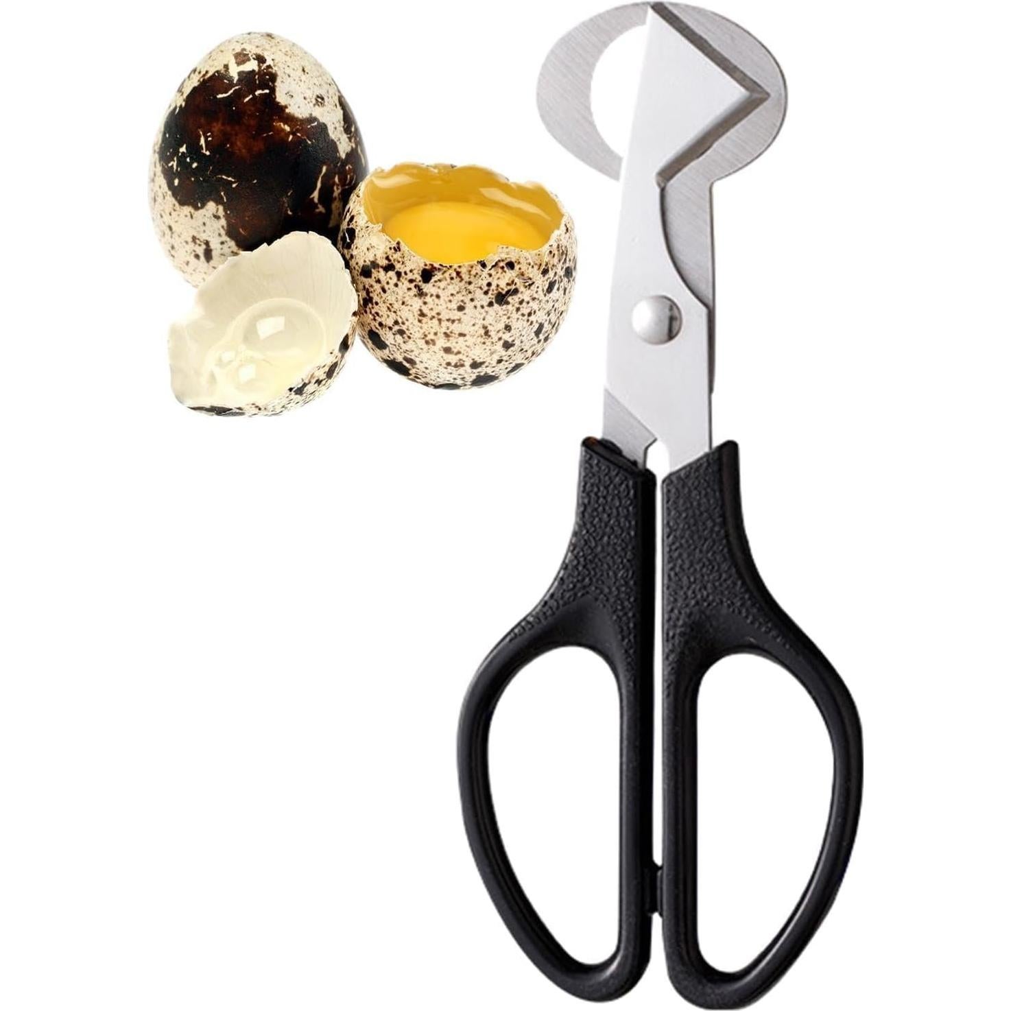 Tijeras Cortadoras de Huevos de Codorniz Pxiryanlow - Acero Inoxidable
