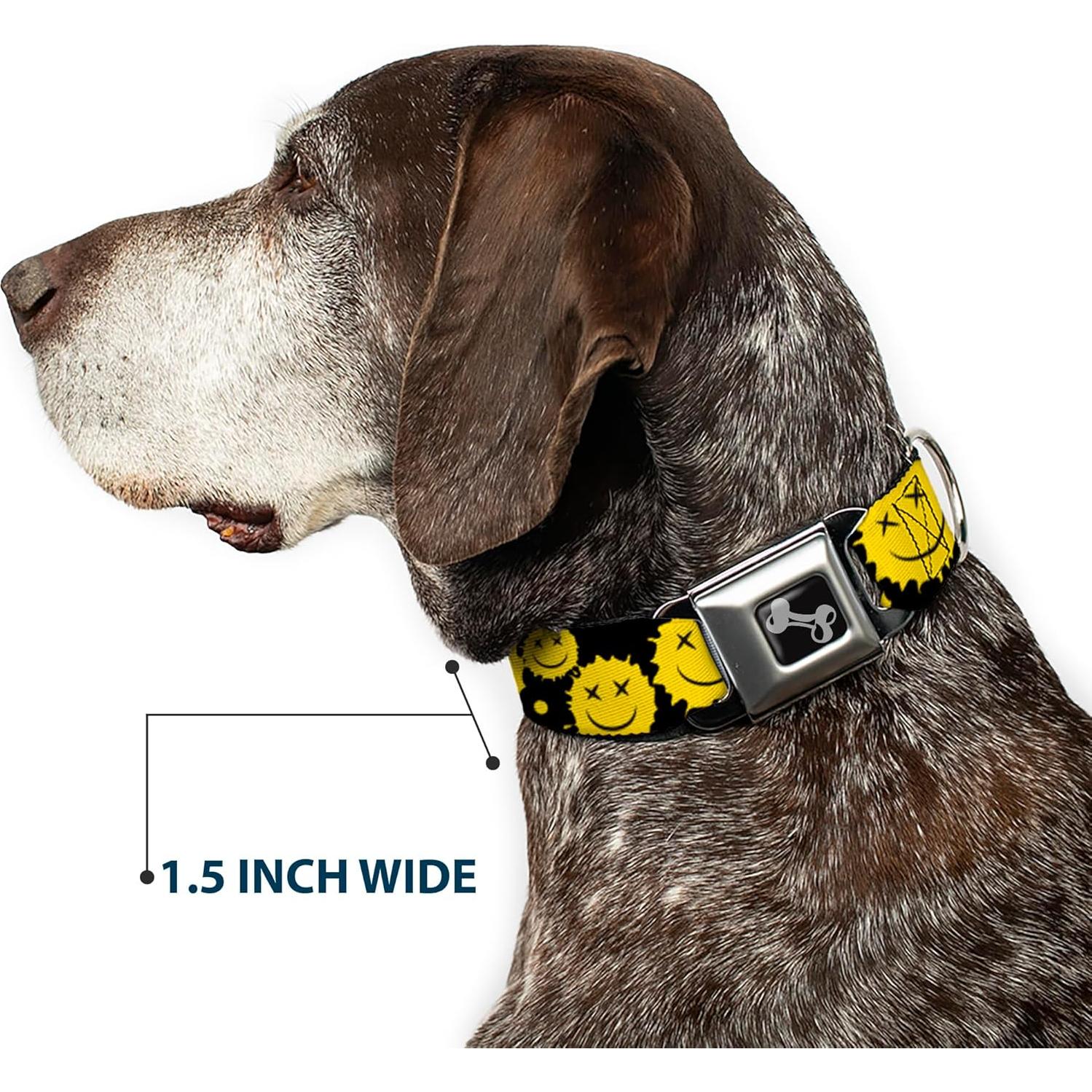 Collar para Perros Buckle-Down 24.1-33 cm con Hebilla de Seguridad