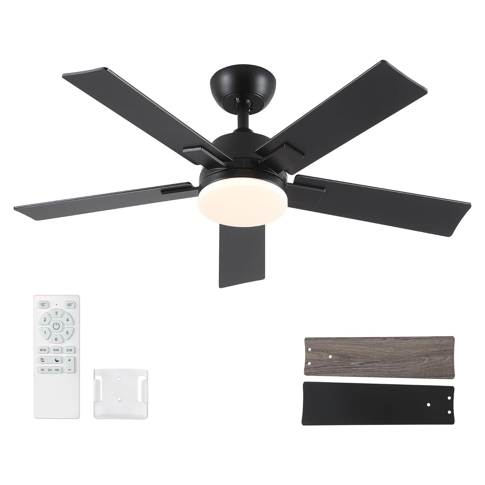 Ventilador de Techo Rayqueen 106.68 cm Negro con Luz y Control Remoto