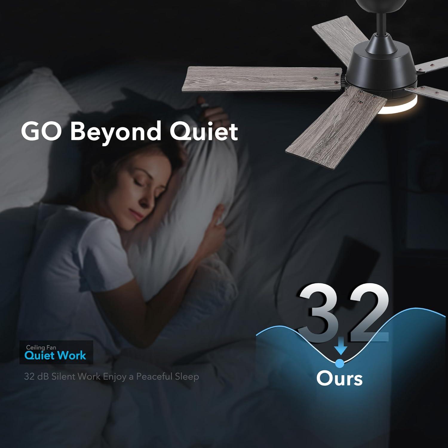 Ventilador de Techo Rayqueen 106.68 cm Negro con Luz y Control Remoto