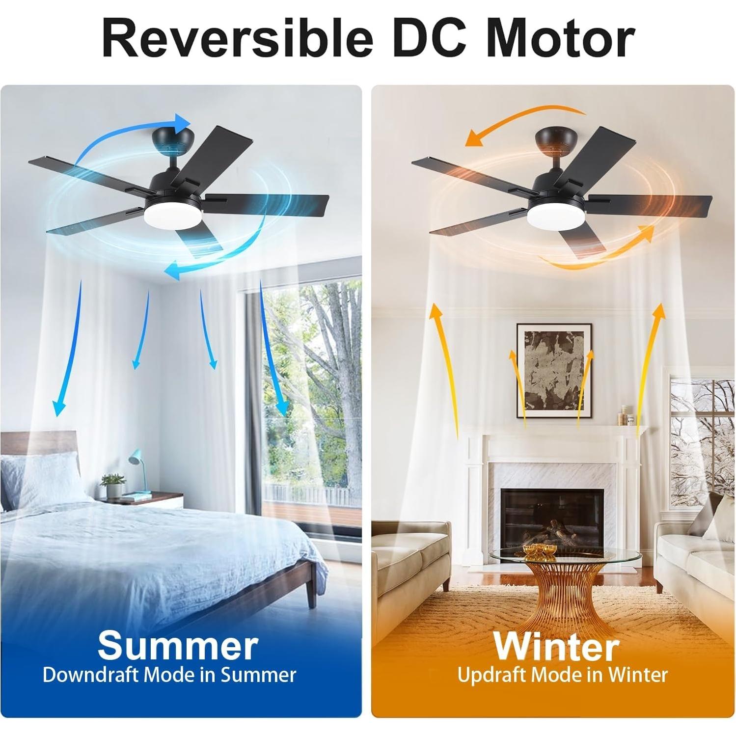 Ventilador de Techo Rayqueen 106.68 cm Negro con Luz y Control Remoto