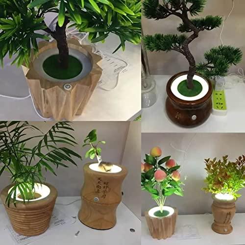 Interruptor Regulador Táctil LED 12V LDCRE-3 2.5A Negro 2Pack